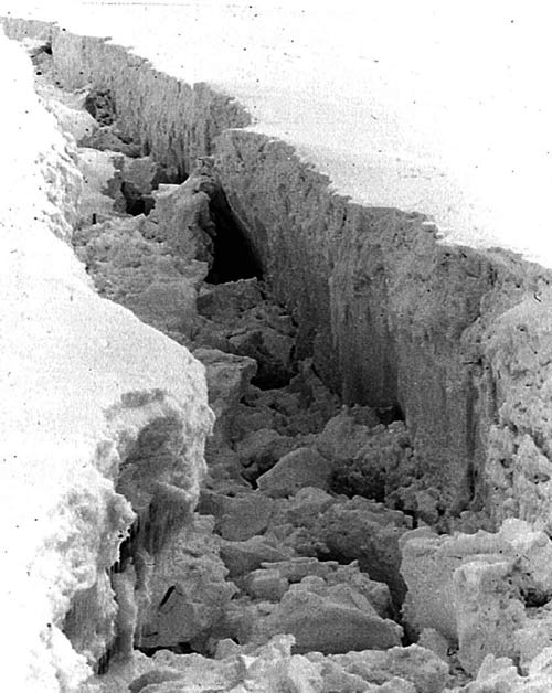 Antarctica melting due to climate change