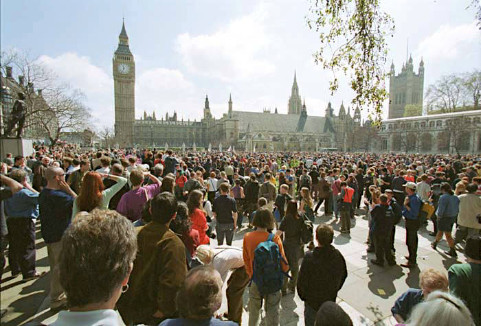 Guerilla Garden - MayDay, 2000, London